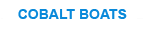 Cobalt Logo